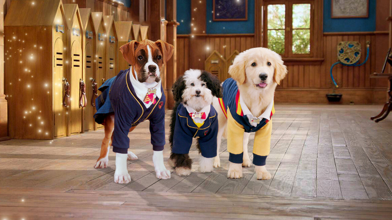 Học viện cún con (Phần 2) Pup Academy (Season 2)